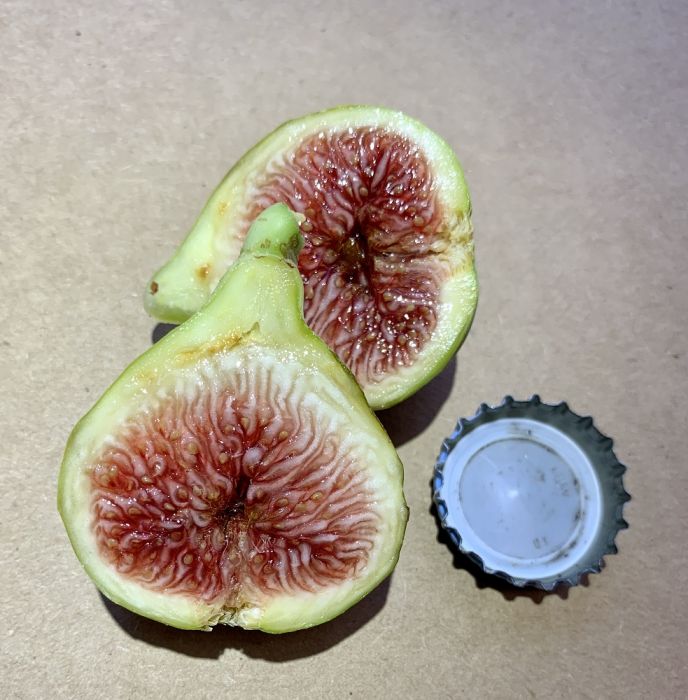 Del Ermitans Fig Fruit