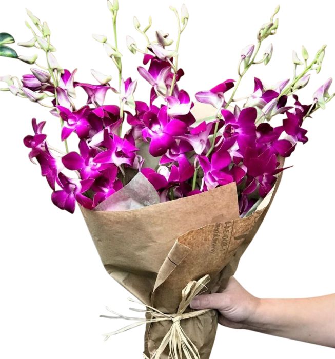 Dendrobium orchids in a wrapped bouquet