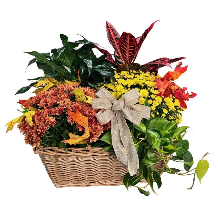 Fall Flowering Planter in Basket