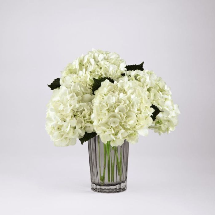 Ivory Hydrangea Bouquet in smoky gray glass vase Small
