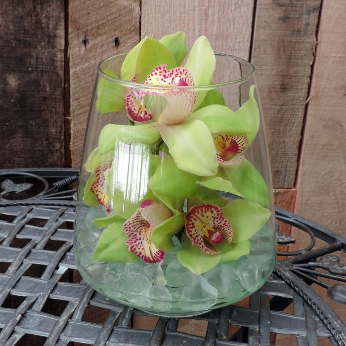 Fresh cut orchid in glass vase