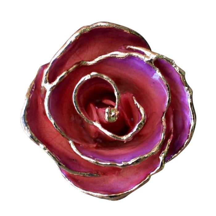 Gold Dipped Pink Amethyst Rose Close Up