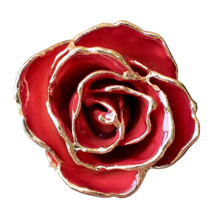 Gold Dipped Pink Burgundy Rose Close Up