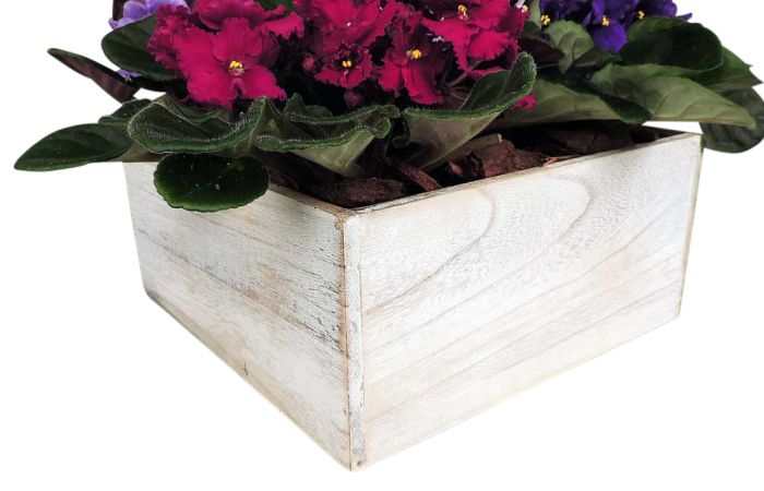 Close up of rustic wood cube container