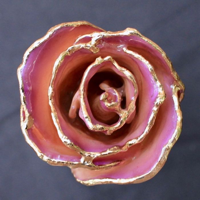 Gold Dipped White Amethyst Rose Close Up