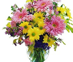 Mixed-Spring-Daisy-Vase